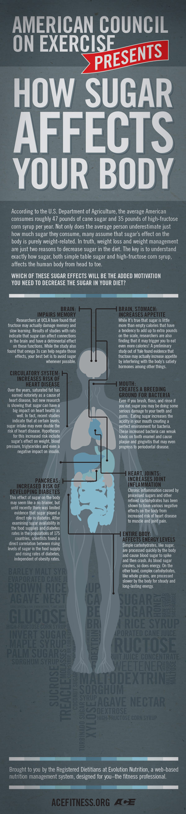 how-sugar-affects-your-body