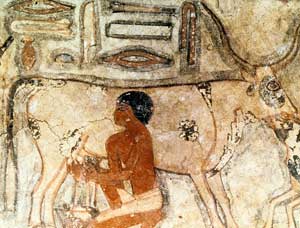 the neolithic revolution an important historical The fascinating history of beer reveals that it may be responsible for the americans are taught in school about the agricultural revolution. the neolithic revolution an important historical The fascinating history of beer reveals that it may be responsible for the americans are taught in school about the agricultural revolution.
